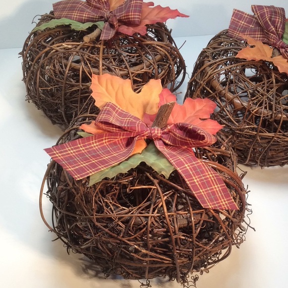 Other - Grapevine Pumpkin Set of 3 Fall Home Decor